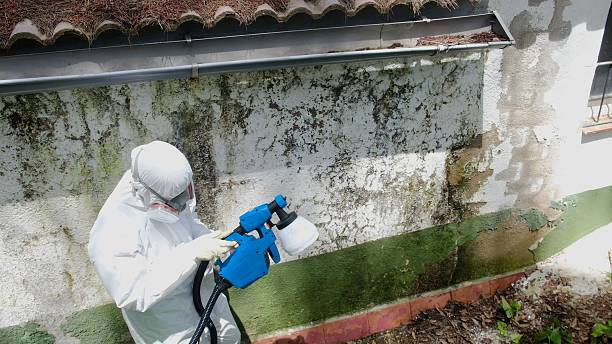 Top rated local Attic Mold Remediation specialists in Spangler, PA